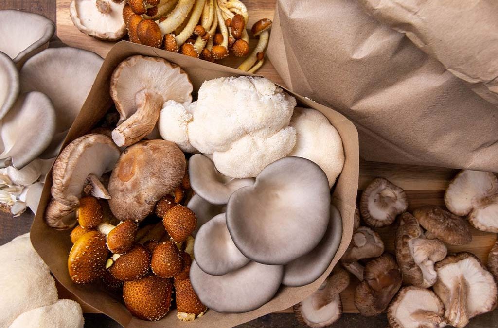 Bulk Wholesale Mushrooms Bulk Wholesale Mushrooms